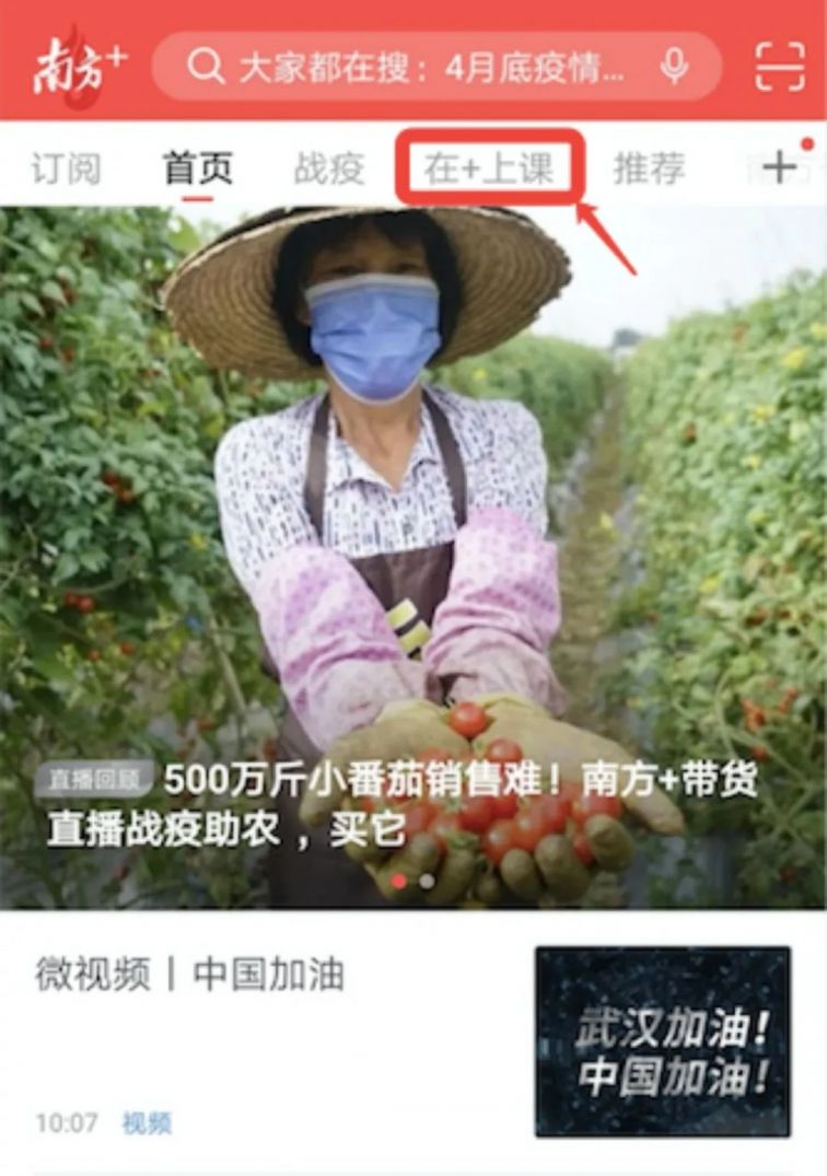 惠州线上教育怎么用手机看？